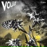 Voleurs