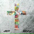 DIVIJ