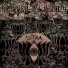 Scarred By Beauty
