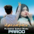 Paroo