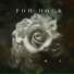 Poh Hock