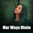Tanveer Anjum