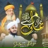Salman Raza Ashrafi