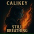 Calikey