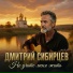 Дмитрий Сибирцев