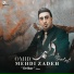 Omid Mehdizadeh