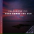 Calderone Inc.
