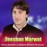 Zeeshan Marwat
