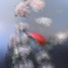 Reyn