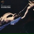 Phil Woods