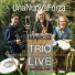 Marco Zappa Trio
