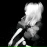 adidas2004