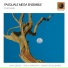 Pasquale Mega Ensemble