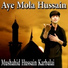 Mushahid Hussain Karbalai
