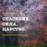 Andrey Shapovalov, Transformation Center Music