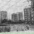 че вой