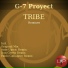 G-7 Proyect