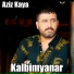 Aziz Kaya