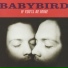 Babybird
