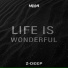 Z-DEEP