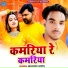 Abhishek Anmol