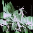 Vusive