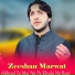 Zeeshan Marwat
