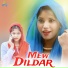 Mohd Dilshad