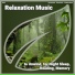 Instrumental, Sleep Music, Sleeping Music