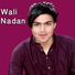 Wali Nadan