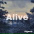 Algaror