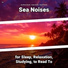 Sea Waves Sounds, Ocean Sounds, Nature Sounds