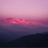 MONJARO, OZM, Avalon