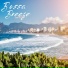 The Bossa Nova All Stars