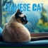 Eltorel, Pippo Gallina feat. Kosmos, Cippi Chiara
