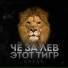 (NLP) (23-26Hz) Gazan (slowed)
