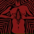 the DRX