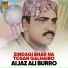 Aijaz Ali Burro