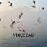 VEGEE CAU