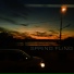 SPRING FLING