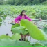 AlaDu