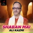 Ali Kazmi