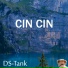 DS-Tank