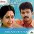 Vidyasagar, Hariharan, K. S. Chithra