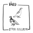 Bård