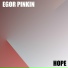 EGOR PINKIN