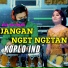 Koplo Ind, Reza NovitaSari