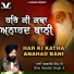 Bhai Sarabjit Singh Ji