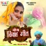 Pratap Meena