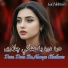 Gul Pukhtoon